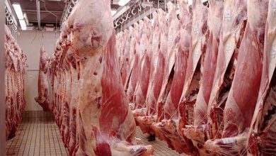 Microentreprise activité Agroalimentaire algérie