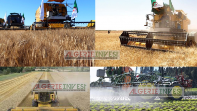 Conseil des ministres: Autorisation de l'importation du matériel agricole