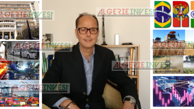 Omar Berkouk, expert en économie et finances : «l’Etat doit se réformer tout en réformant l’économie»