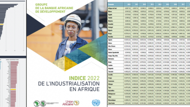 Indice de l’industrialisation en Afrique (IIA) : l’Algérie classée 11ème