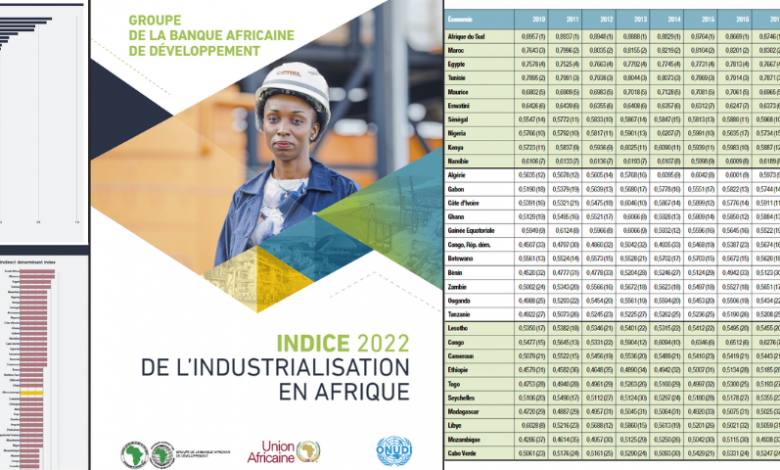 Indice de l’industrialisation en Afrique (IIA) : l’Algérie classée 11ème
