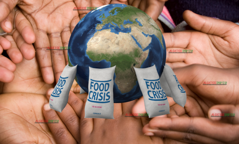 Programme alimentaire mondial : 345 millions de personnes dans le monde au bord de la famine