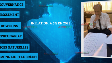 Dr Sofiane Guermouche, expert en économie : «Il faut prévoir des niches pour l’excédent financier»