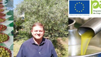 Huile d’olive : «Le verger algérien c’est un verger bio de fait»