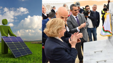 Sonatrach-Eni : promotion du développement des énergies renouvelables en Algérie
