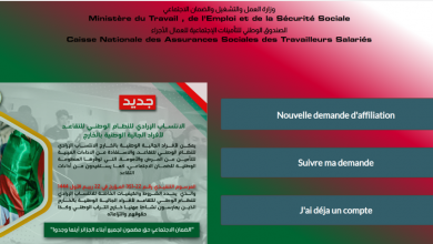 Affiliation volontaire à la CNAS des membres de la communauté algérienne à l’étranger : la plateforme de télé-déclaration opérationnelle