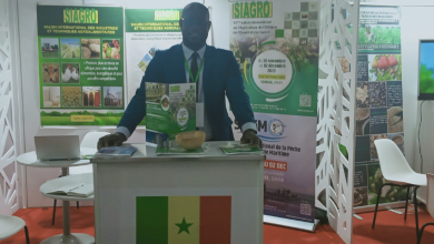 Le Sénégal invite les entreprises algériennes à investir dans le secteur agricole sénégalais