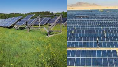 Energie solaire: près de 1,7 milliards de dollars à injecter pour une capacité de 2900 MW en Algérie