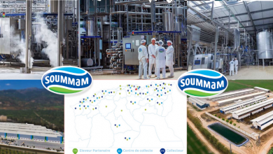 Agroalimentaire: le groupe laitier Soummam sur le point d’exporter ses produits vers la Lybie