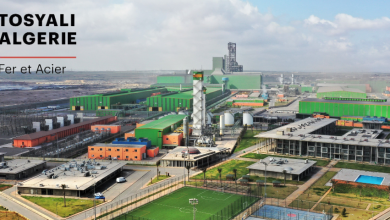 Leader du marché sidérurgique en Algérie: Tosyali Algérie investit dans l’énergie verte