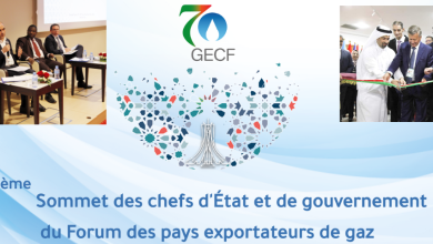 Perspectives à moyen long terme du gaz naturel : les grandes lignes de l’Outlook 2050 du GCEF présentées