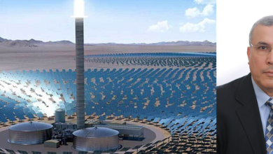 Signature des contrats pour la réalisation de 19 centrales photovoltaïques: entretien avec Boukhalfa Yaici du Green Energy Cluster