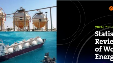 Revue statistiques 2024 de World Energy : l’Algérie premier producteur de gaz et 3ème producteur de pétrole en Afrique en 2023