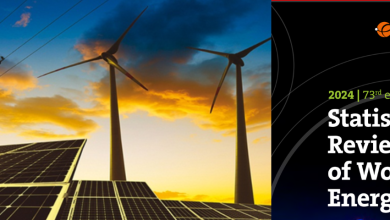 Energies renouvelables : La capacité de production installée de l’Algérie en énergie solaire reste modeste en 2023