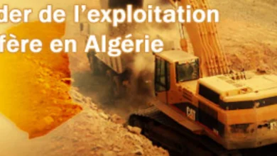 Ressources en or de l’Algérie: vers le développement du gisement d’Amesmessa