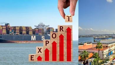 Diversification économique : l’Algérie triple ses exportations hors hydrocarbures depuis 2017