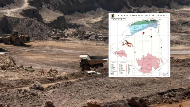Nadjiba Bourenane: «les indices sont très positifs pour la recherche de lithium et de terres rares»