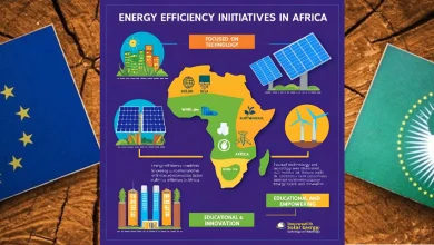 Énergie : une réunion à Alger amorce la mise en œuvre de la Stratégie africaine pour l’efficacité énergétique